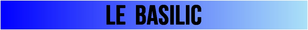 Basilic